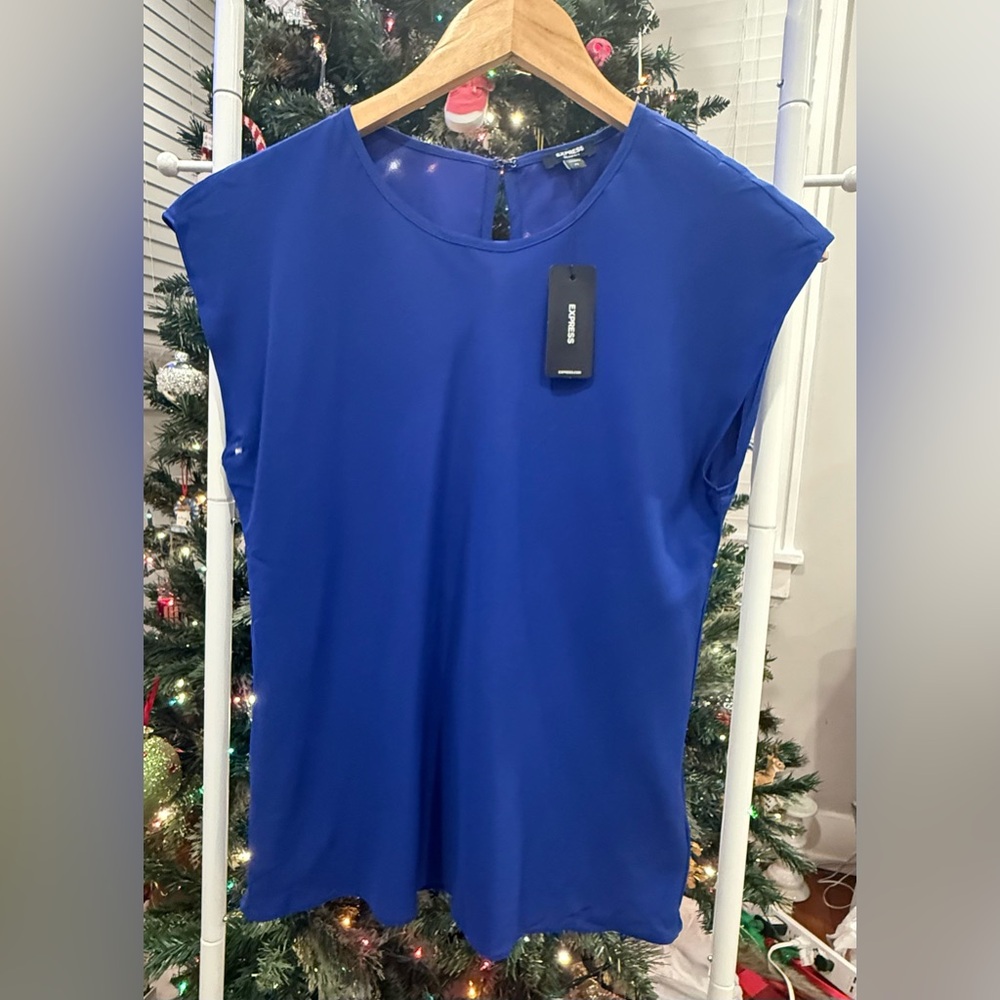 Express Women's Royal Blue Blouse